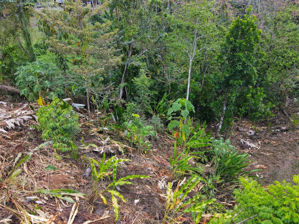 Beautiful Mountain View Lot with River Access – 3.04 Acres