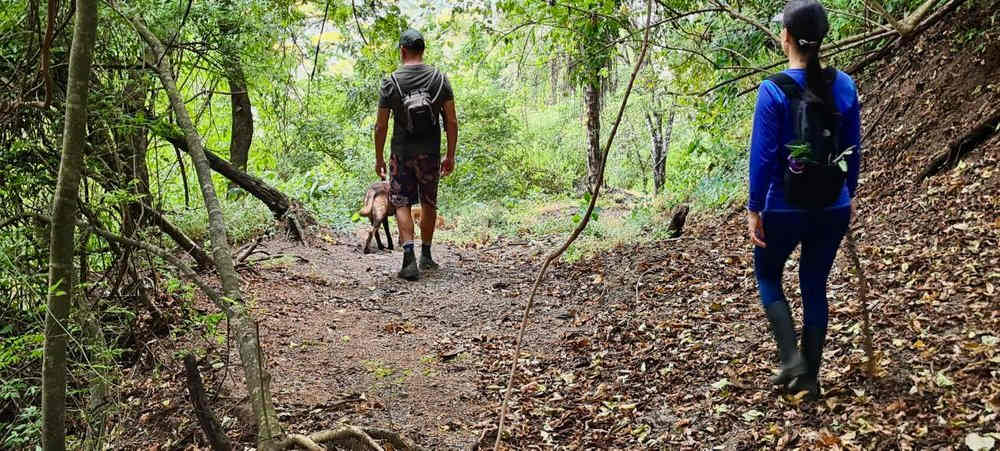 Natureza Viva