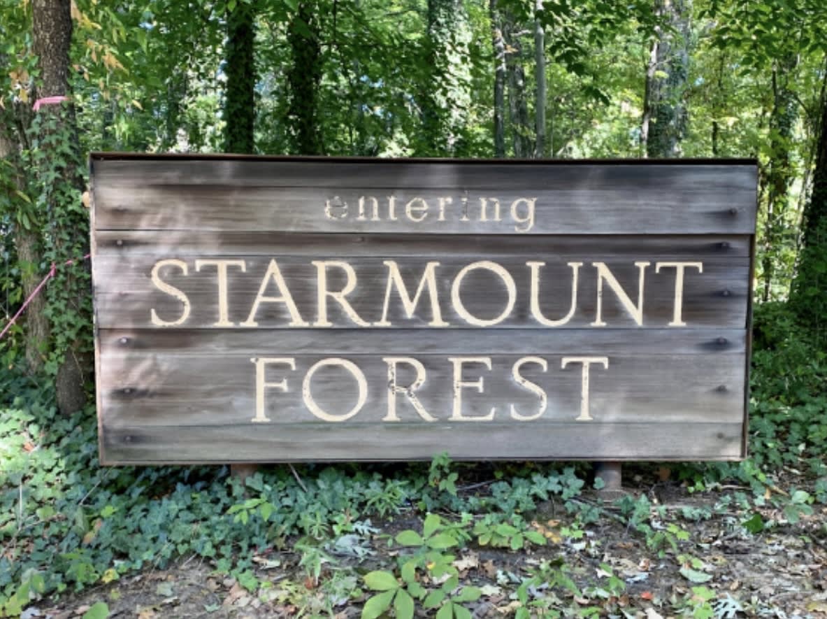 Starmount Forest