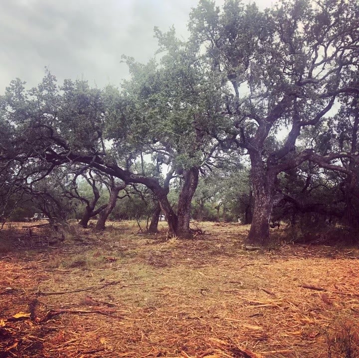 325 Canyon Gap Rd