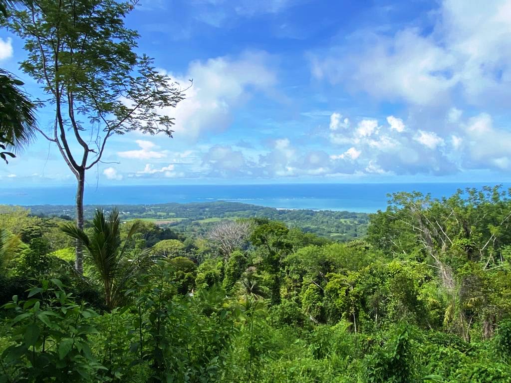 Gorgeous 1.43 Acres in Uvita Costa Rica Your Slice of Paradise Awaits