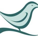 Higher Standards Part 1: Nest Realty Agents