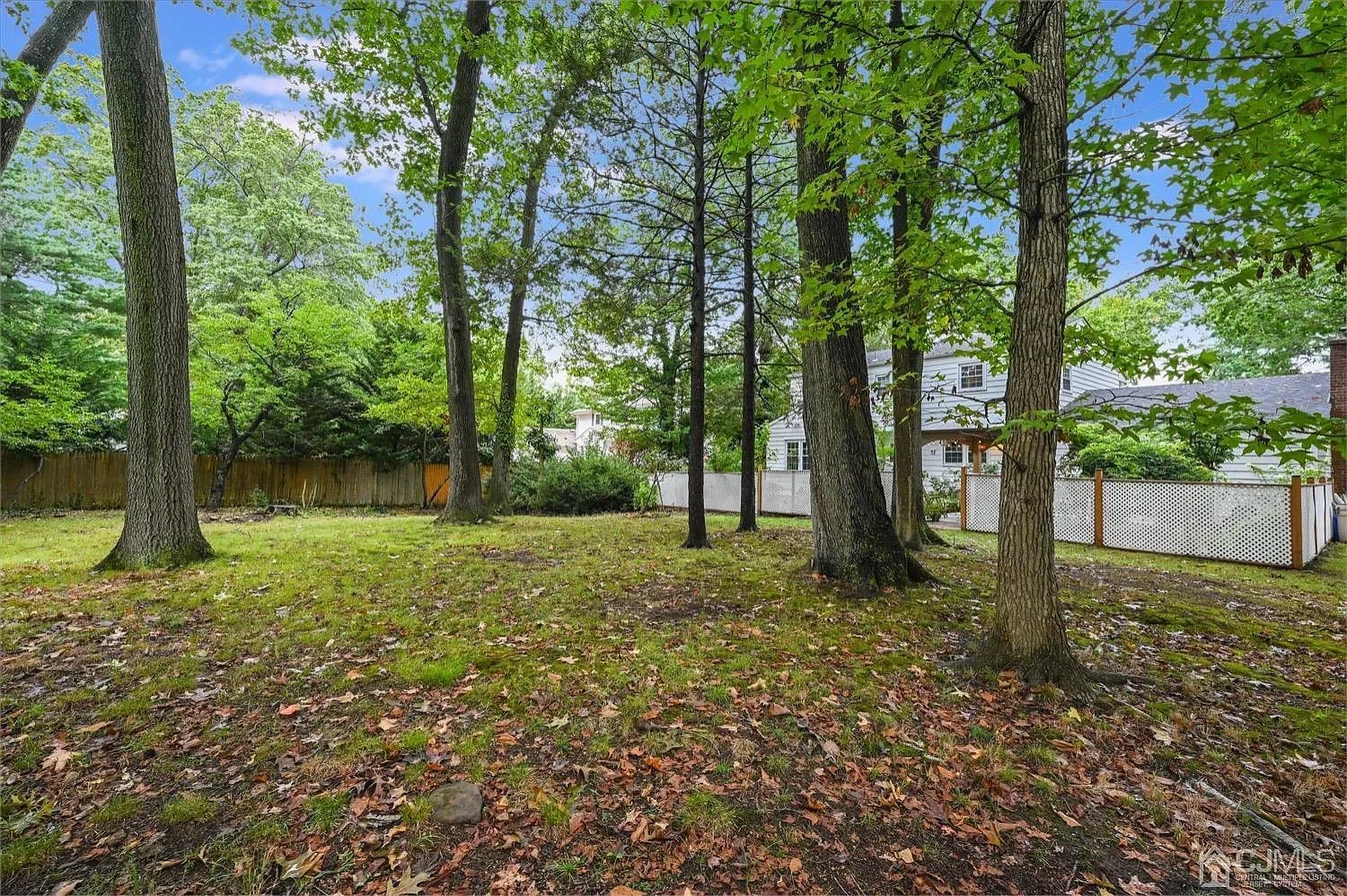 50 Clive Hills Rd