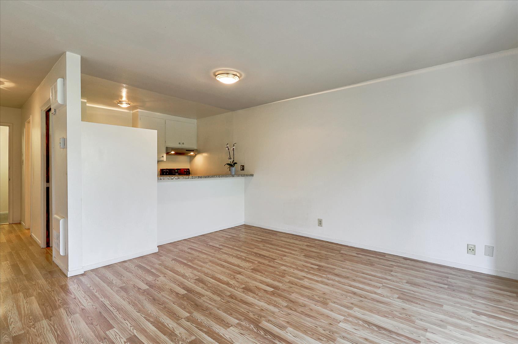 425 Orange St, #310