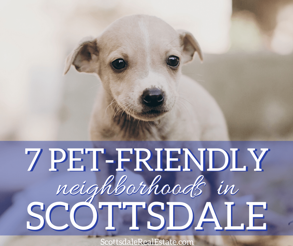 7 Pet-Friendly Neighborhoods in Scottsdale