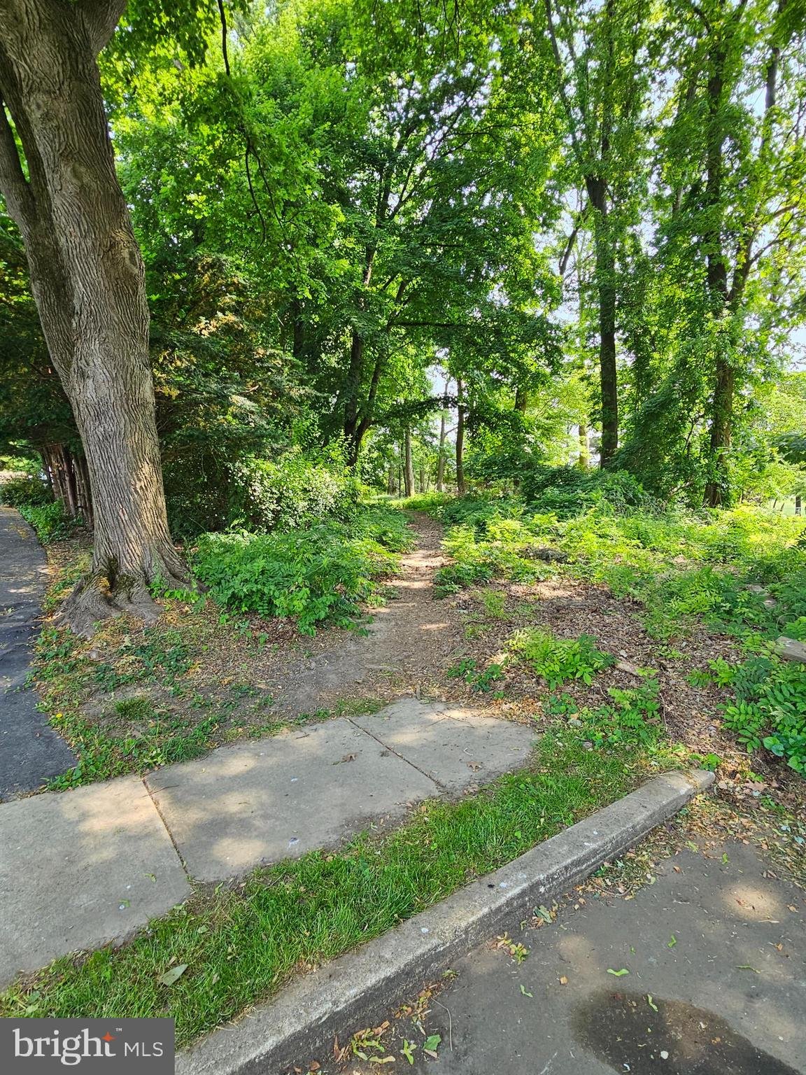 320 Rose Ln