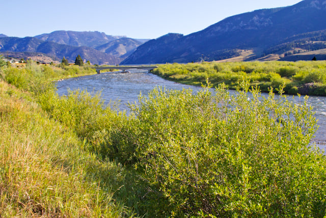 Gallatin Canyon