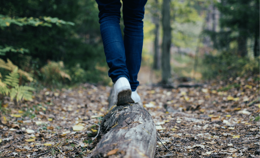 Carkeek Park & Trails