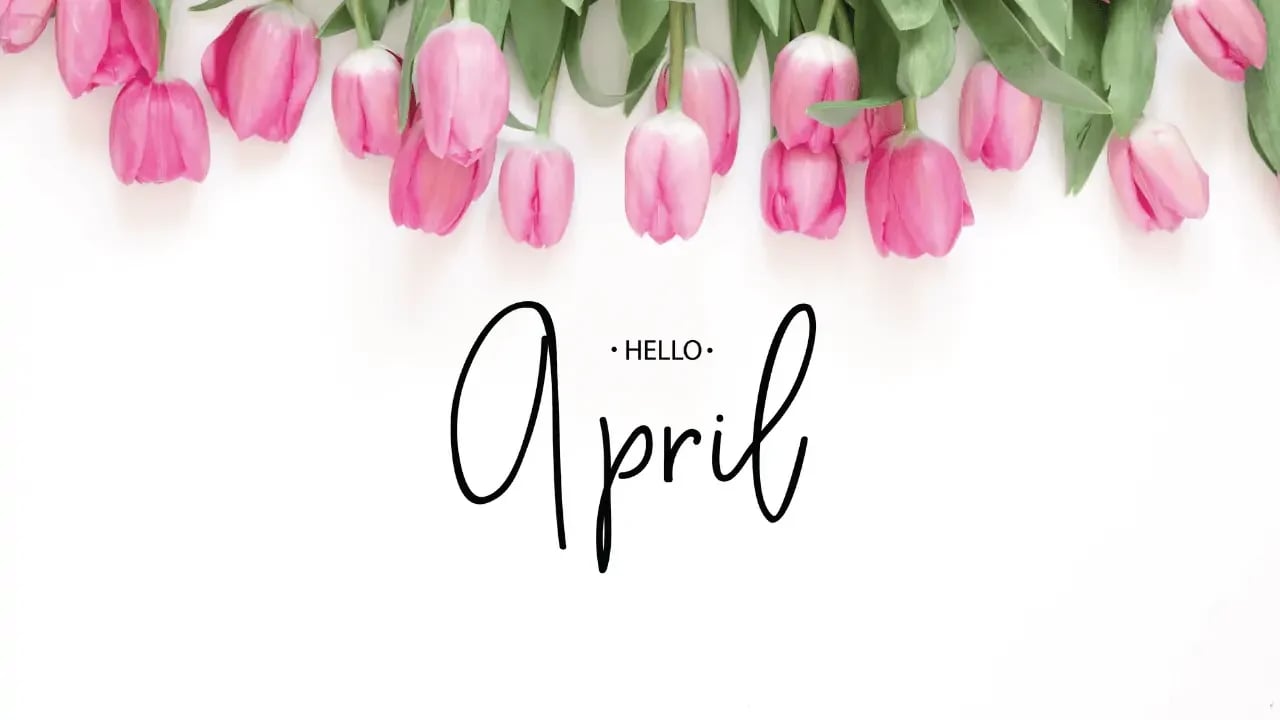 A greeting card or poster with pink tulips at the top and the word "April" written in elegant script, symbolizing the spring season.