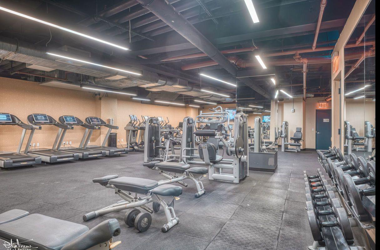 116 John Street, Apt 1711