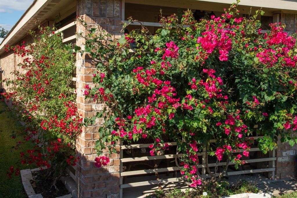 23811 Rivage Ridge