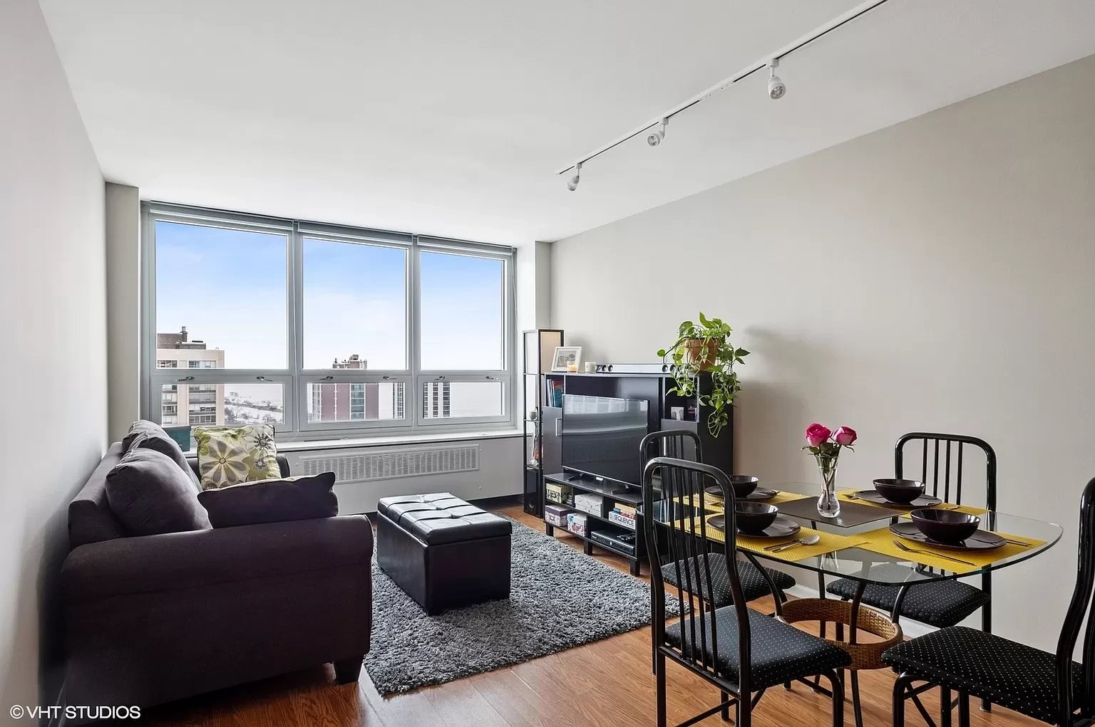88 W Schiller St APT 3005L