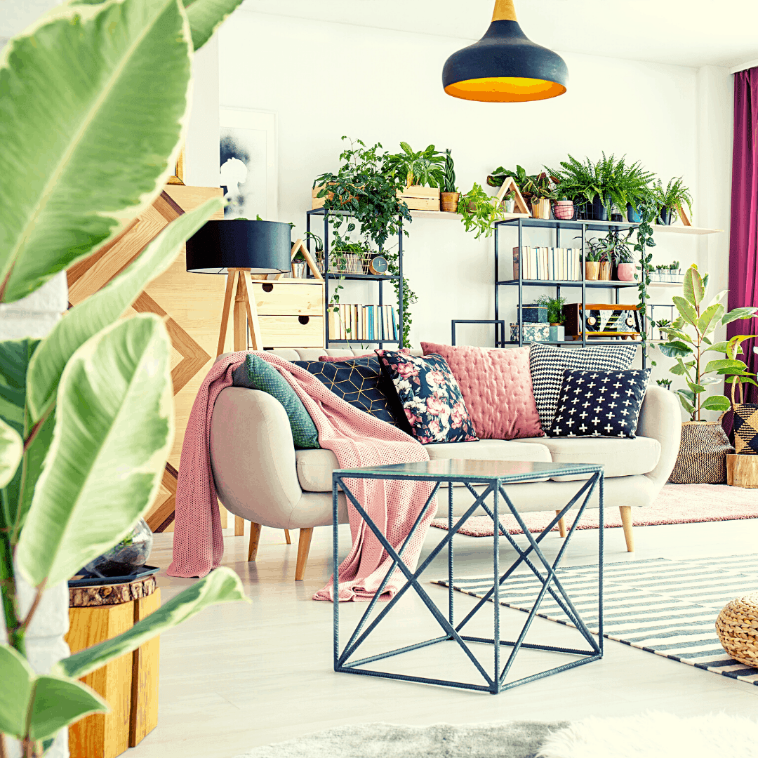 10 Signs You Have Too Many Houseplants