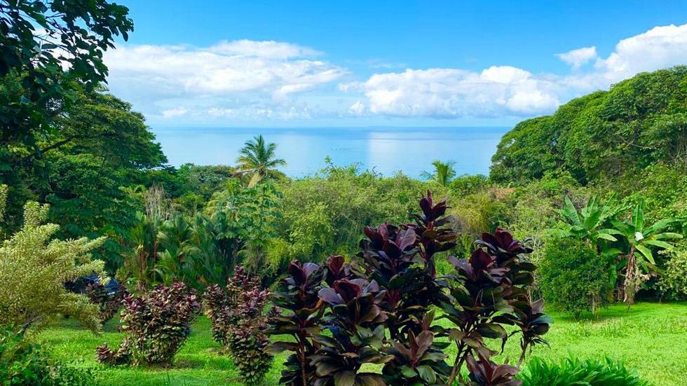 Ocean View Property with a Prime Location and Legal Water in Escaleras Dominical