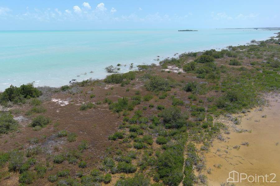 150 feet beachfront 2.25 acres off-grid homesite