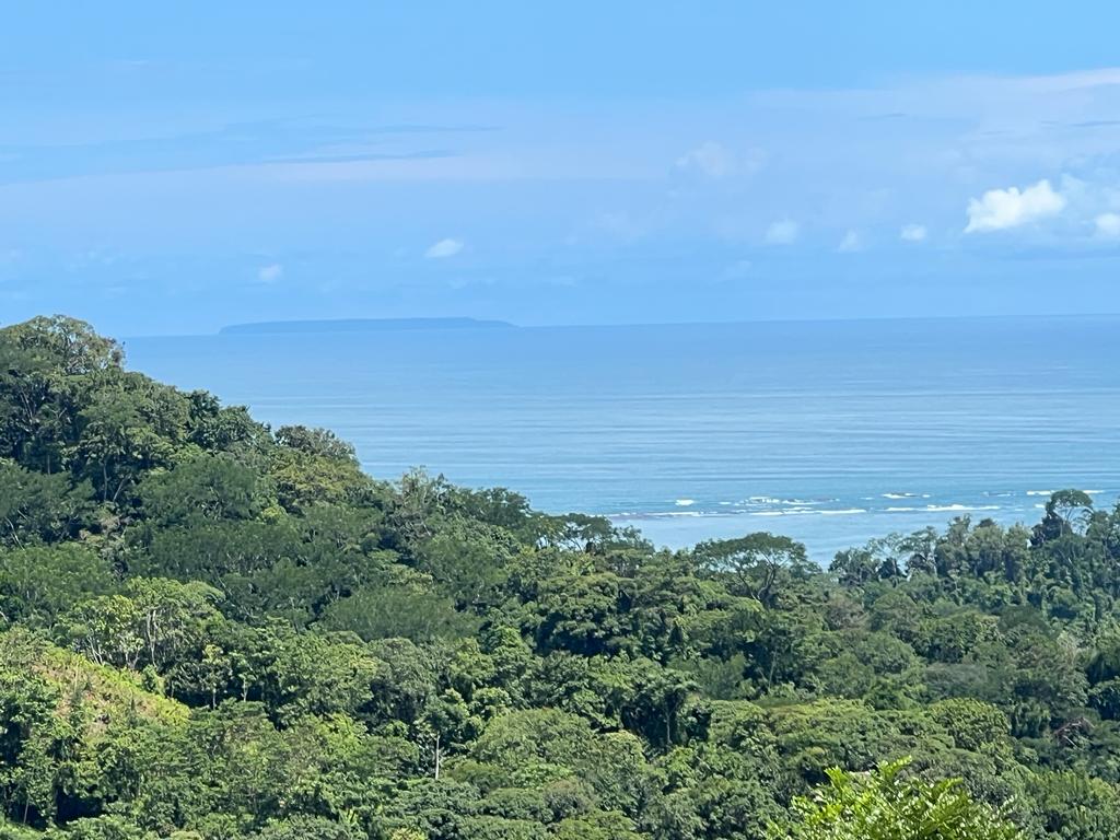 Private 5-Acre Riverfront Property with Ocean and Mountain Views | San Josecito