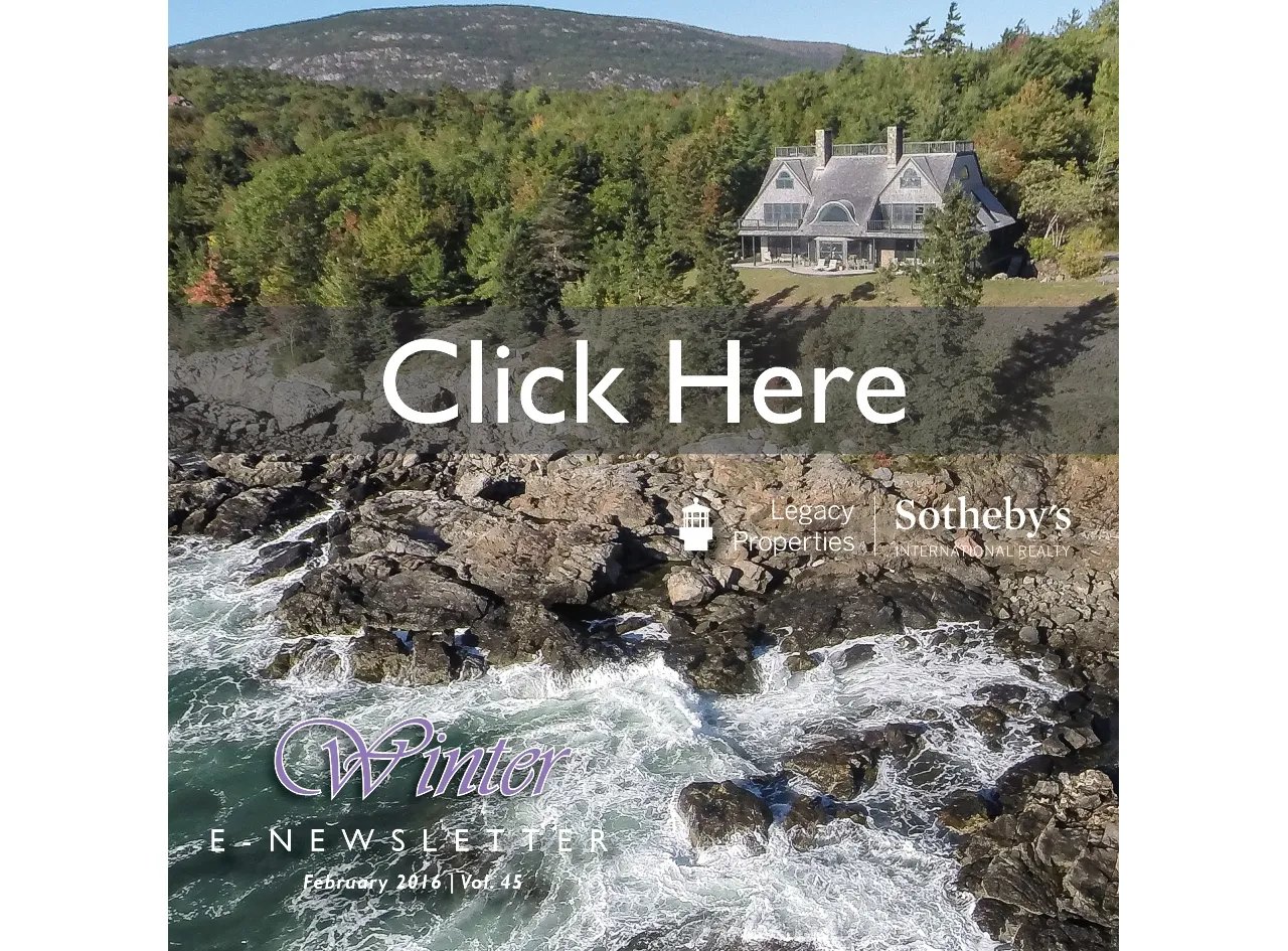 A Safe Harbor In Stormy Seas – February 2016 E-Newsletter