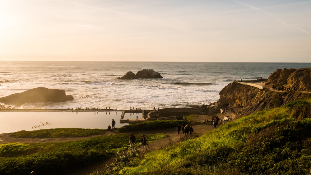 Vanguard Market Update – November 2017