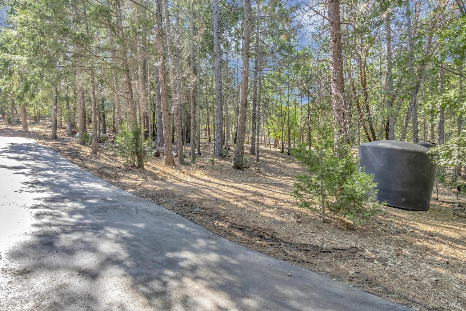 9271 Antler Hill Dr