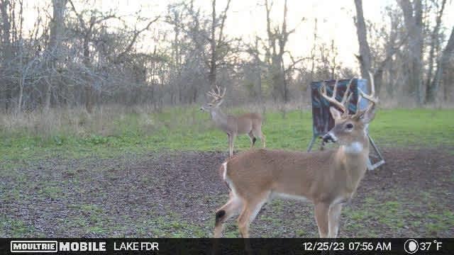 CLC Confluence Ranch