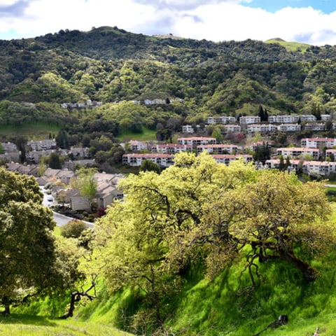 4340 Terra Granada Dr Unit: 1A