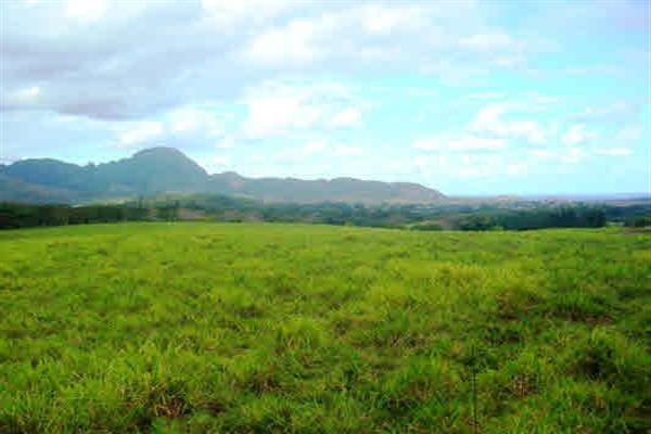 Koloa 8 Acre Estate Parcel