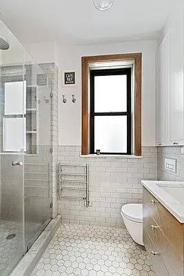 234 West 21st Street #53