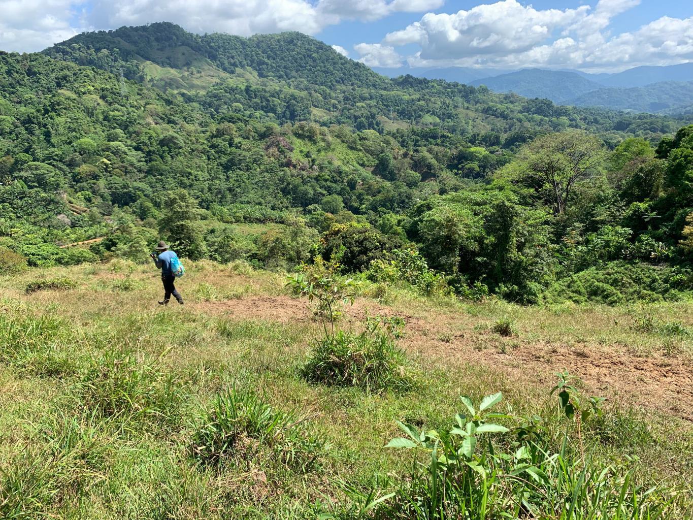 Prime 286-Acre Ocean View Property for Sale Near Quepos, Costa Rica – Ideal for Development