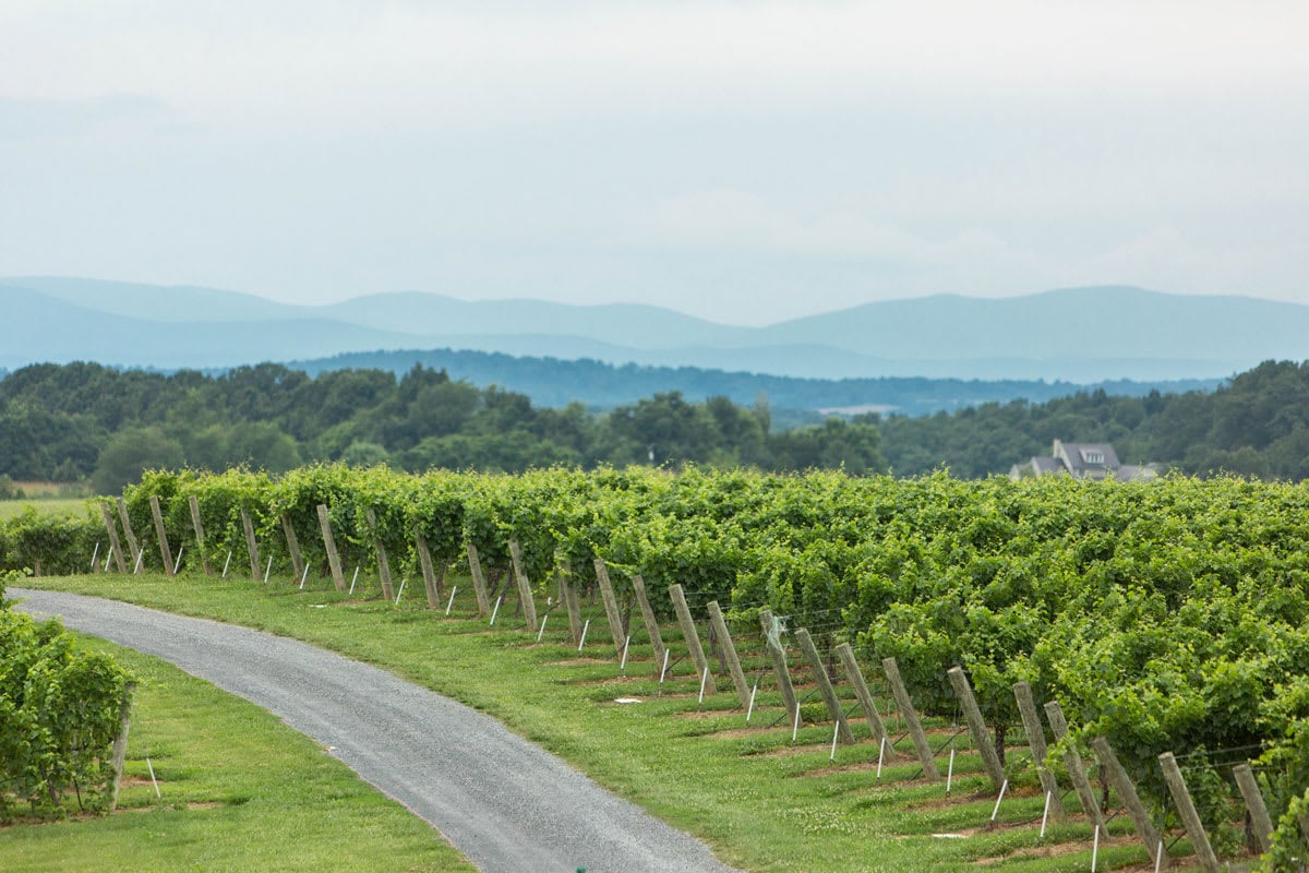 Local Love Winter 2019 - Part 2