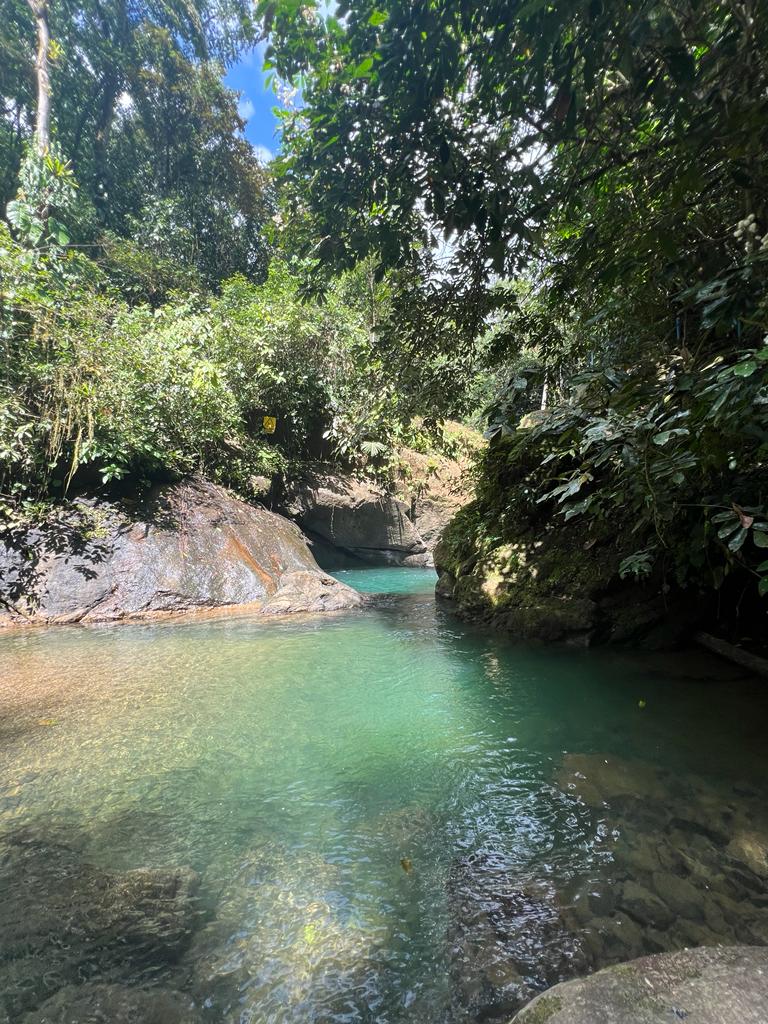Villa Portasol – The Rainforest Edge