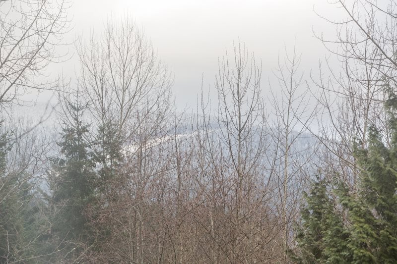 2-2979 Panorama Dr
