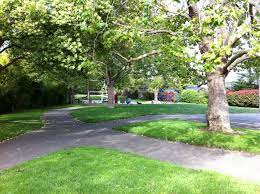 Sycamore and Tamalpais Parks