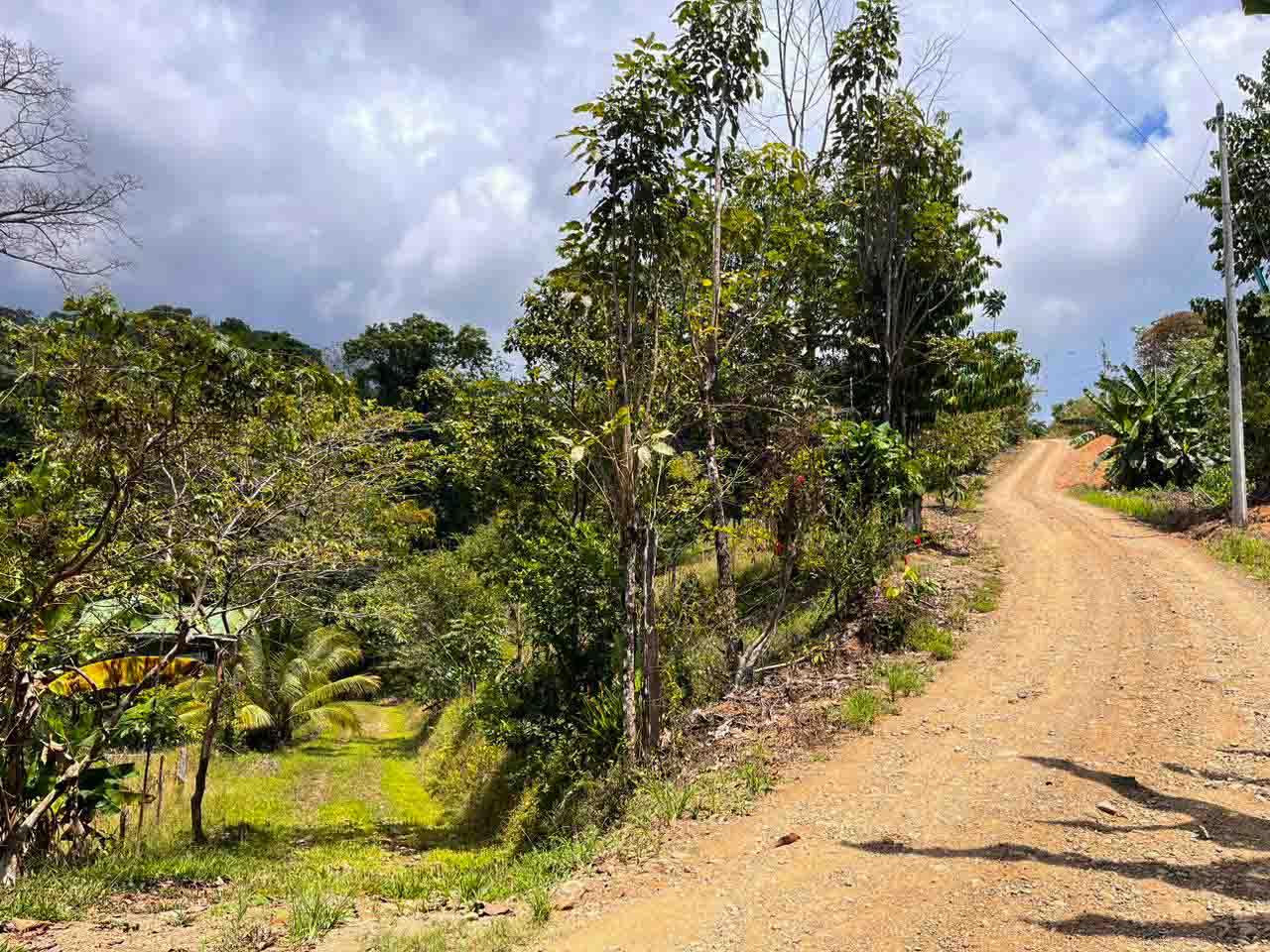 Lot Nestled In Charming Neighborhood With Stunning Mountain Views
