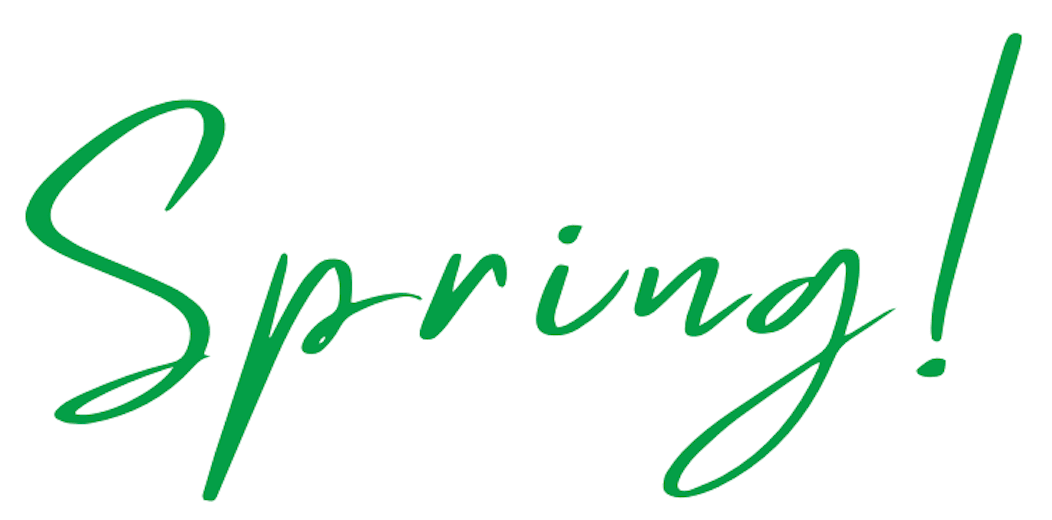 Spring 🌱 Real Estate & Lifestyle Updates