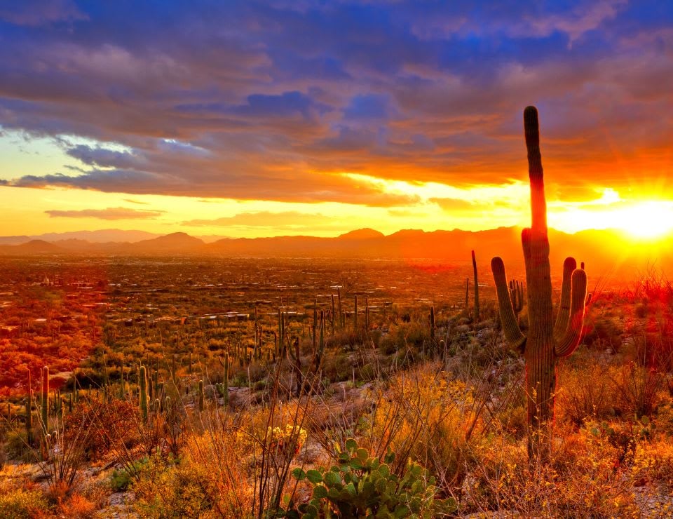 New Pros & Cons of Living in Phoenix