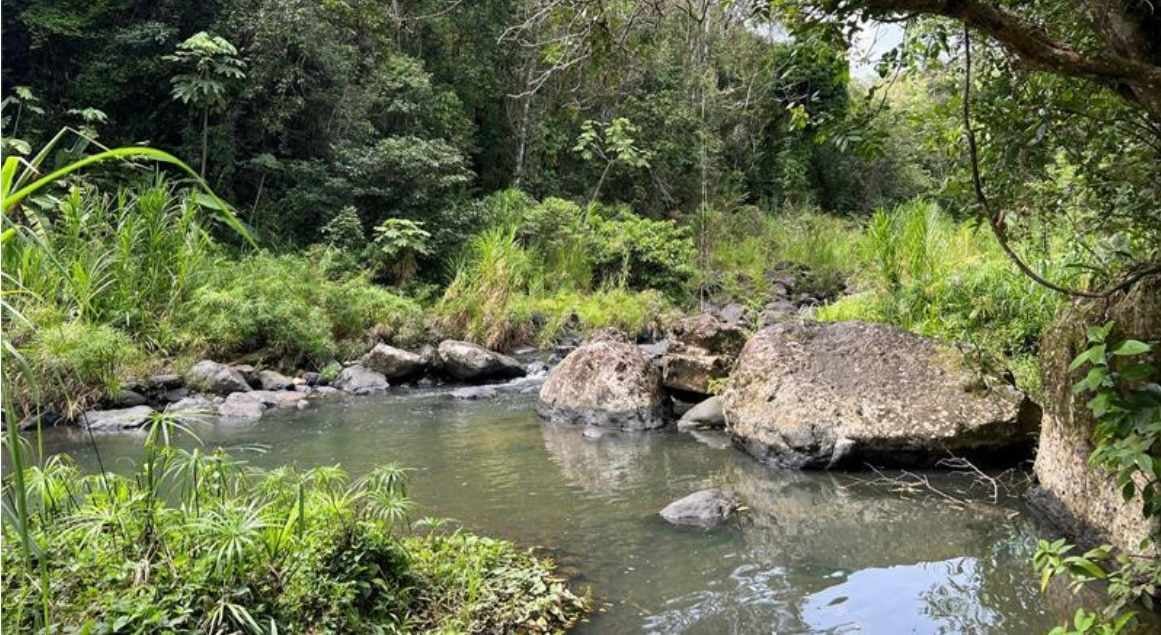 MonteCielo Riverfront Property