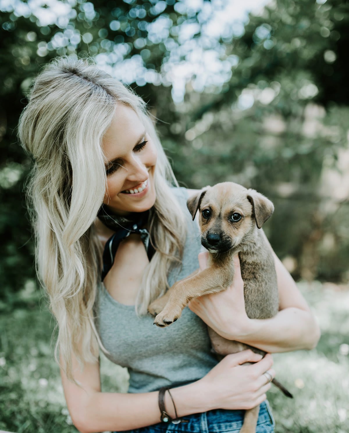 give boldly animal rescue