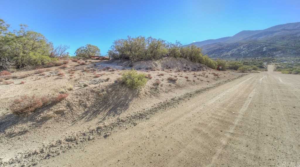 4 Palm Canyon