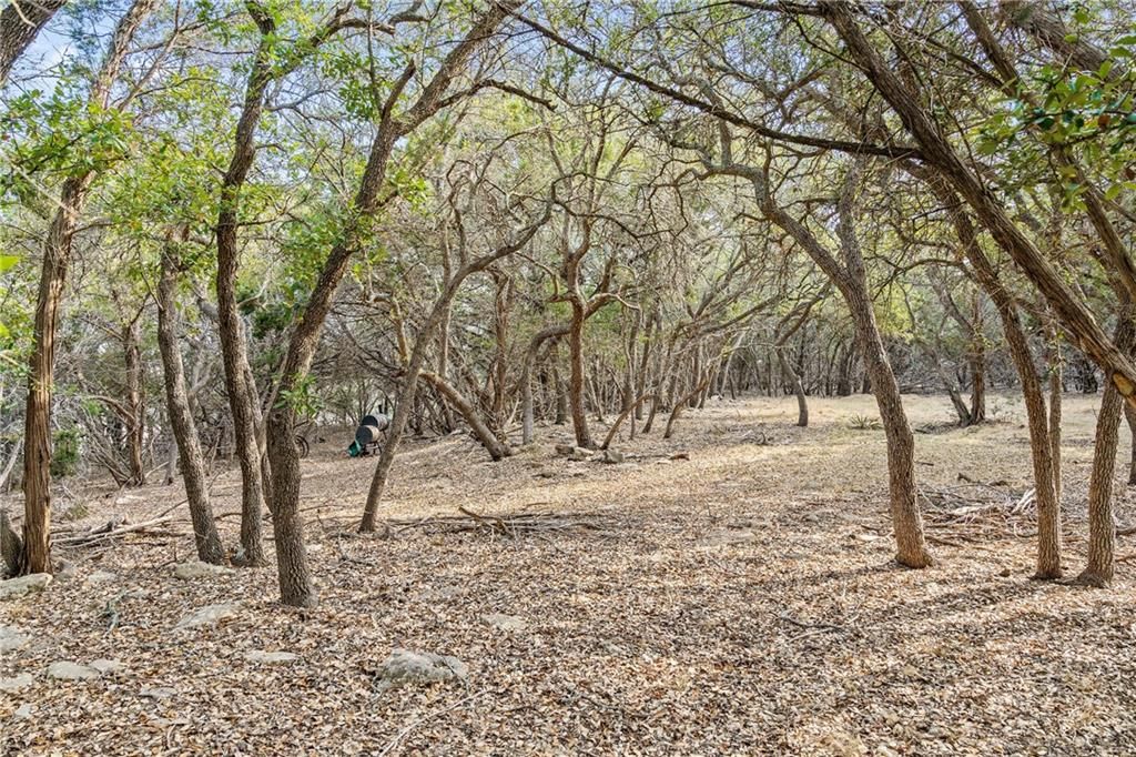 8146 FM 165  | 28.09 ACRES