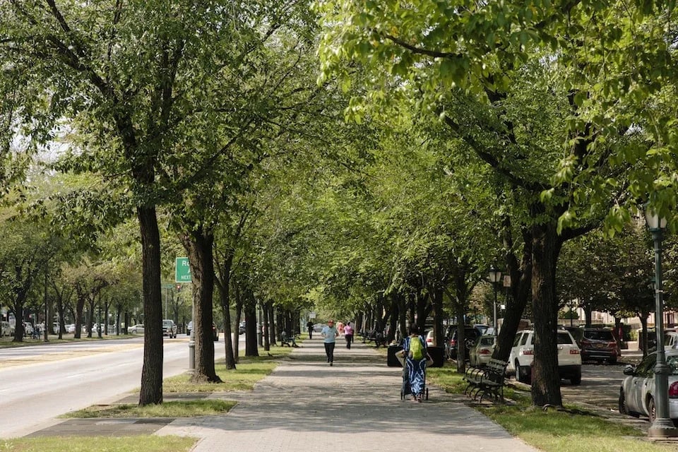 Brooklyn Luxury Report:  February 19, 2024 - February 25, 2024