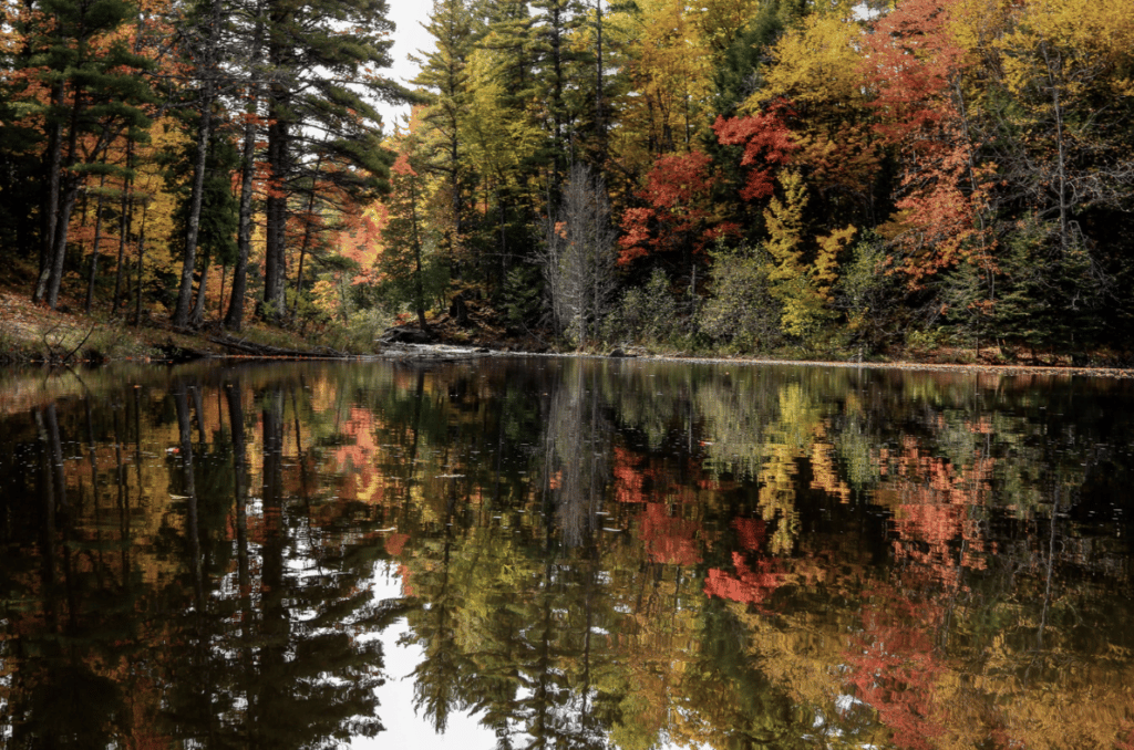 west michigan