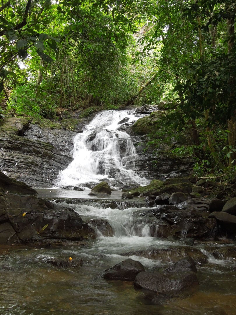 Coastal Development Acreage, Dominical, Puntarenas