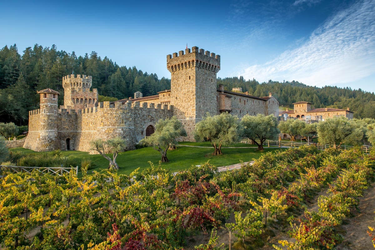 3 Reasons Why You Should Visit Castillo de Amorosa