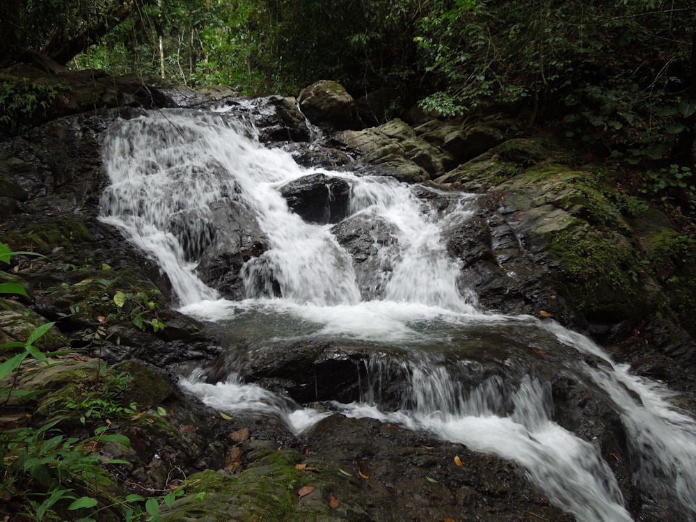 Coastal Development Acreage, Dominical, Puntarenas