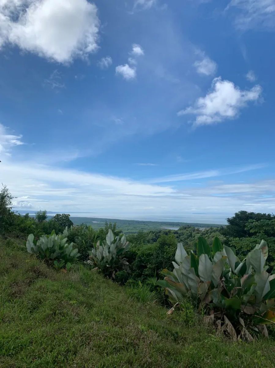 Ocean View Development Homesite, Ojochal, Puntarenas