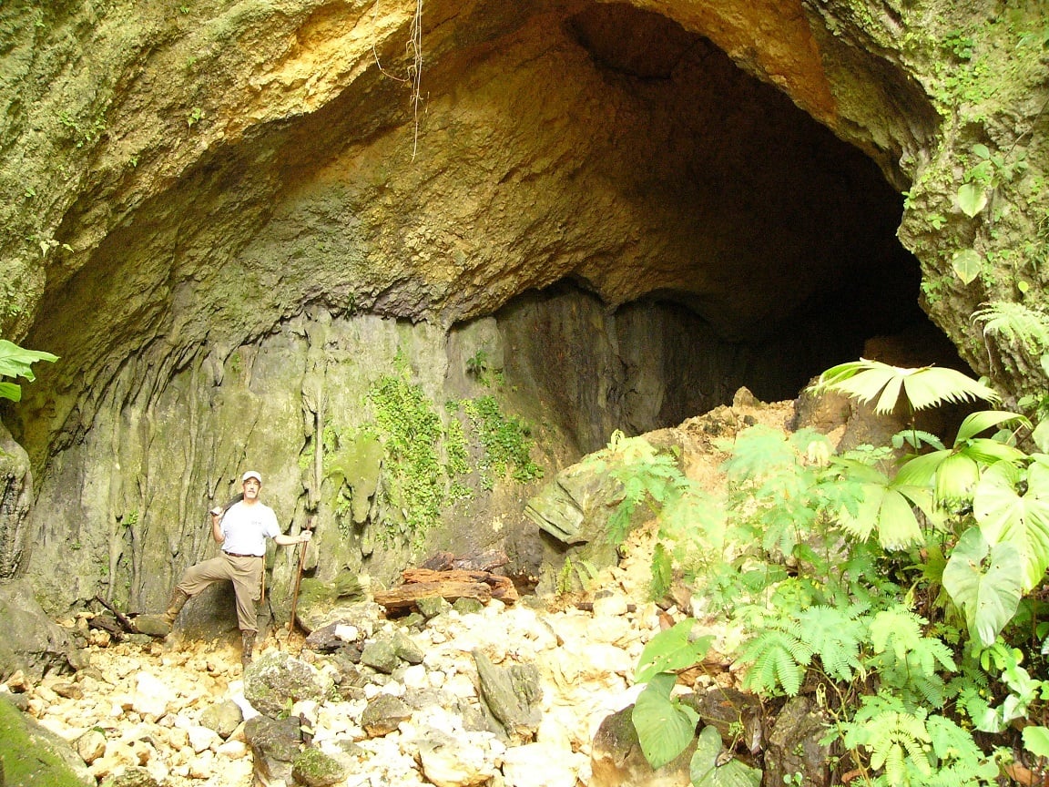 Sustainable Organic Farm, Osa, Puntarenas