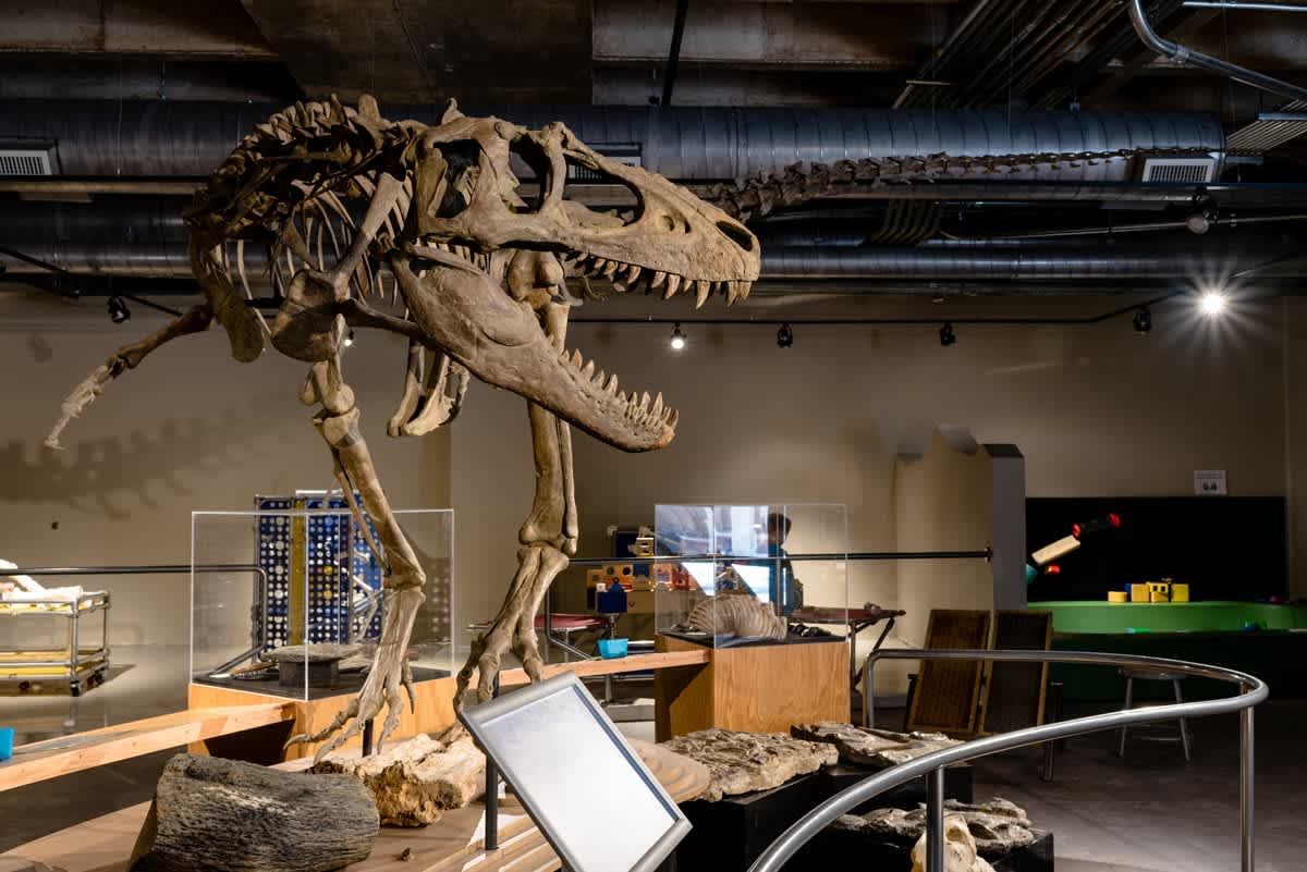 Local Love – Part 2