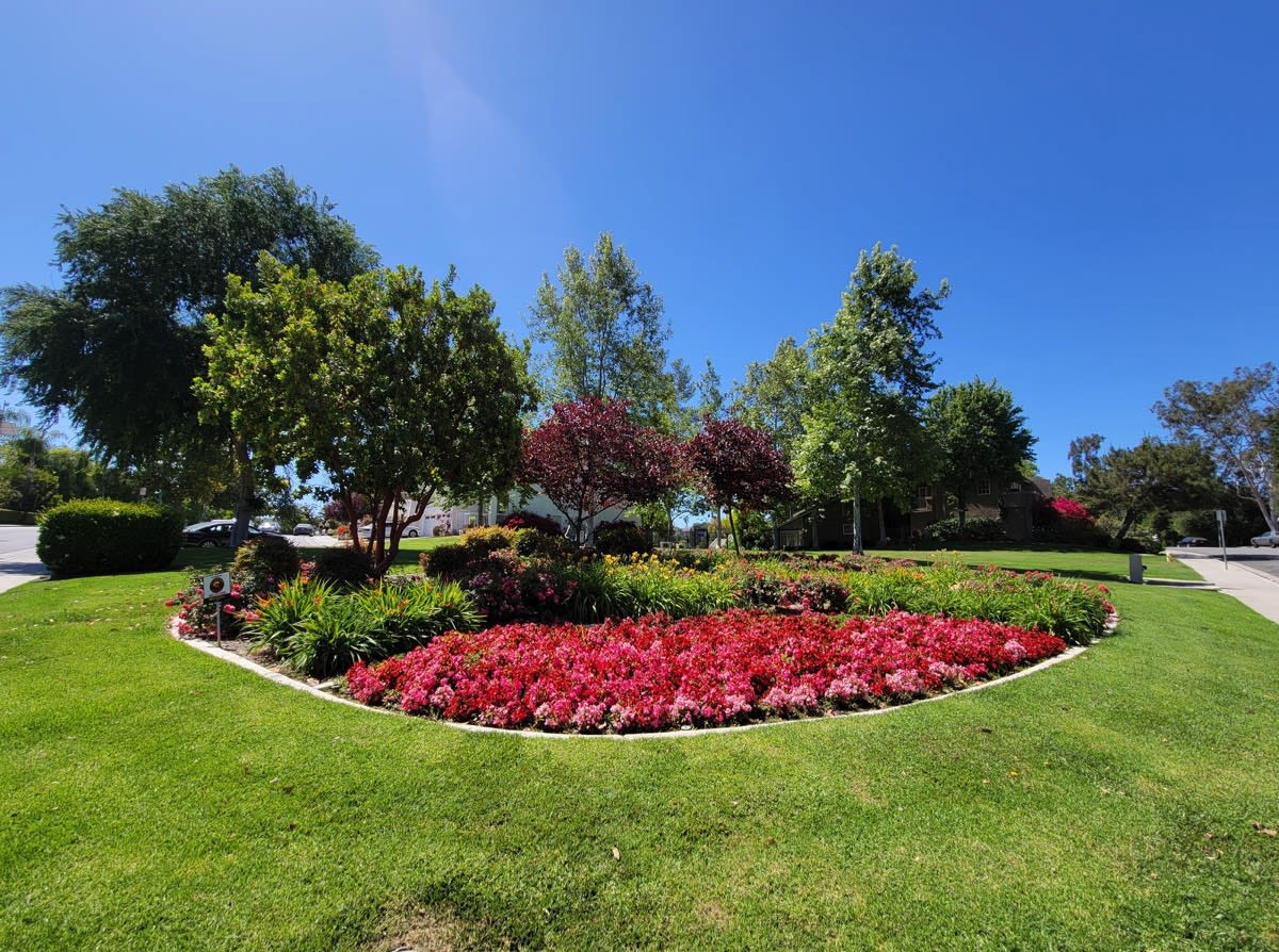 23401 Park Sorrento 8, Calabasas, CA