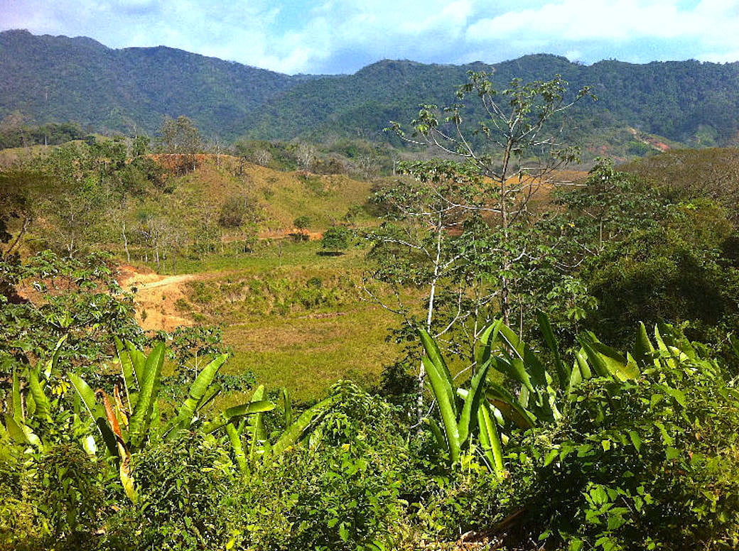 Mountain View Development Farm, Jaco, Puntarenas