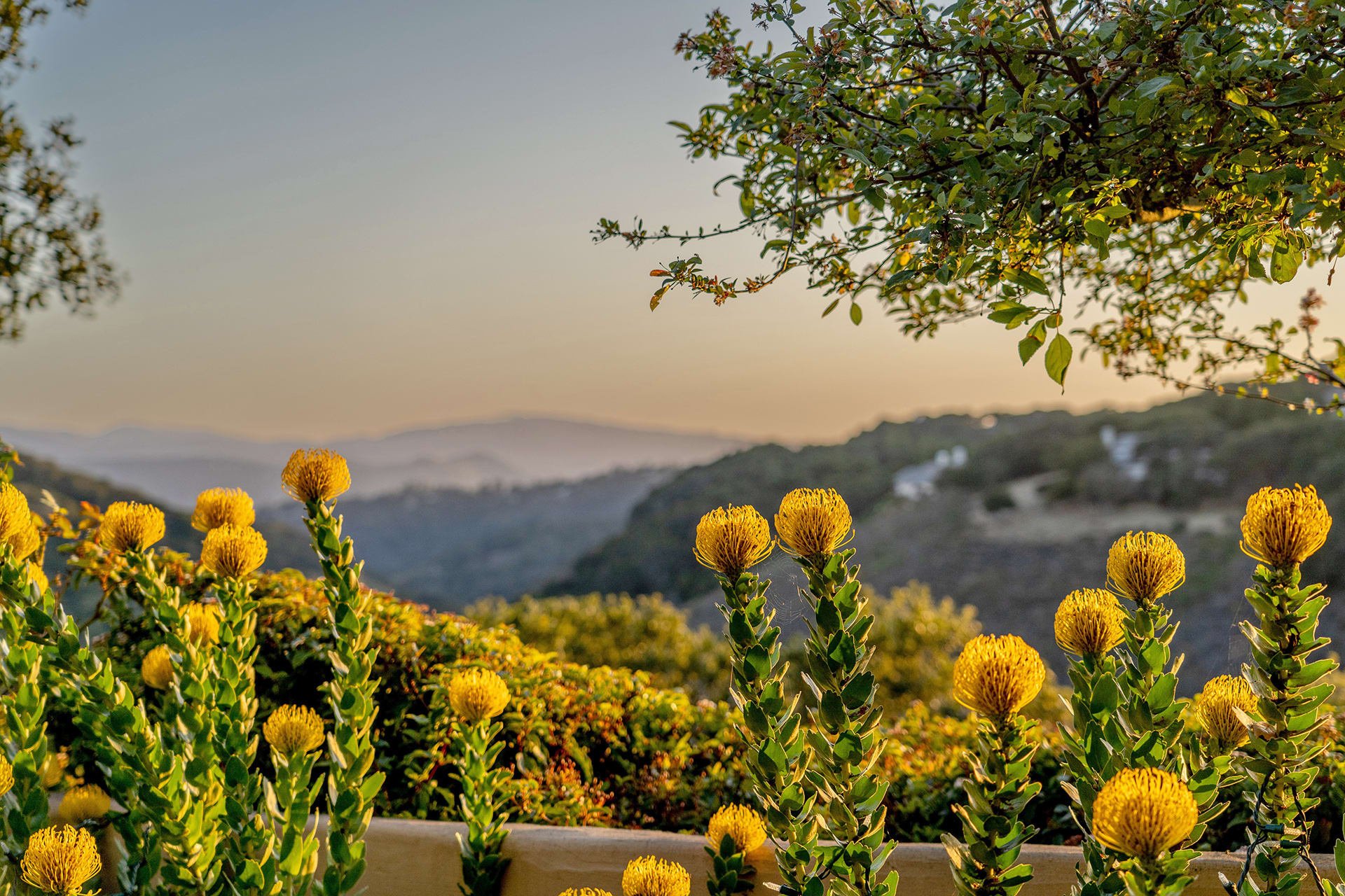 11430 Saddle Road - Monterey Masterpiece